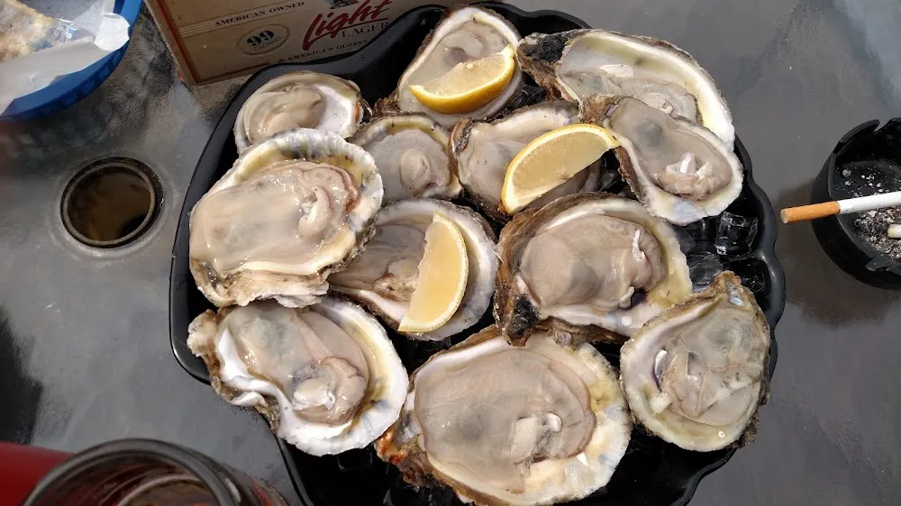 Raw Oysters and a Stella